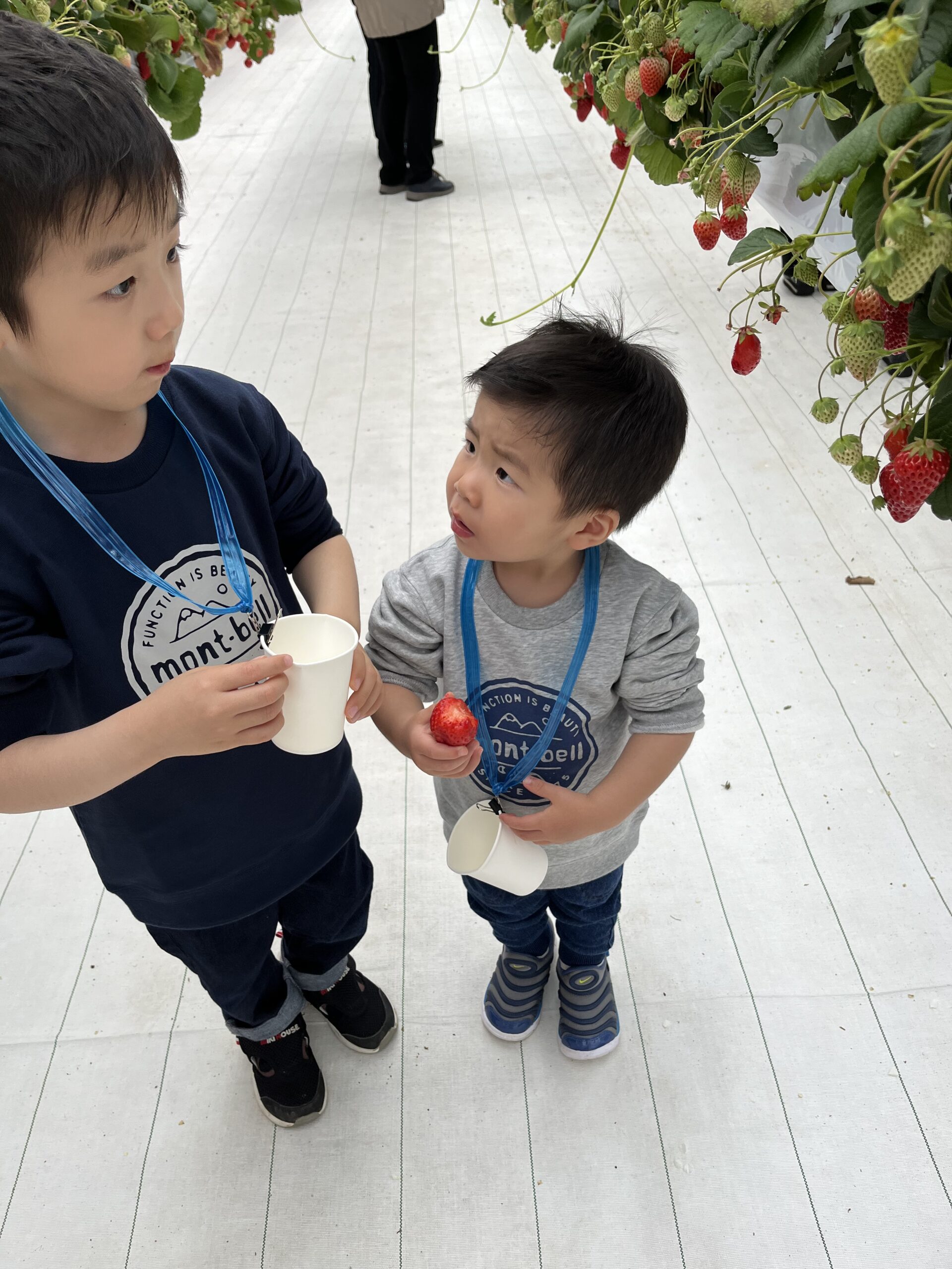 土地探しのプロと相談する様子 自分に合った土地選びのサポート