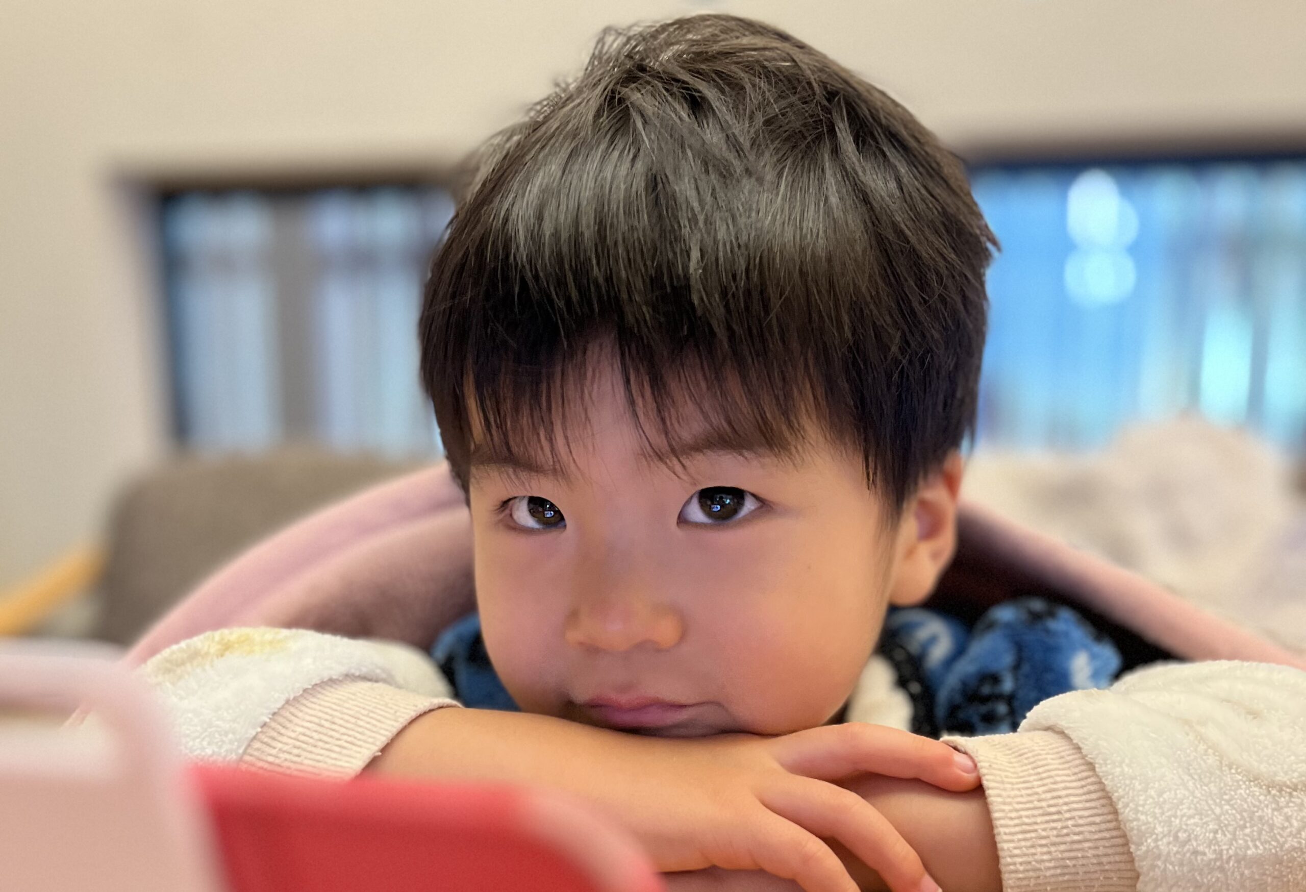 子どもの目が変わる瞬間がありました。｜福井県立恐竜博物館「ほねほねザウルスワールド」体験レポ