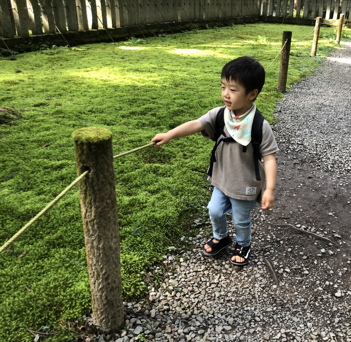 真夏の木陰は気持ちいい