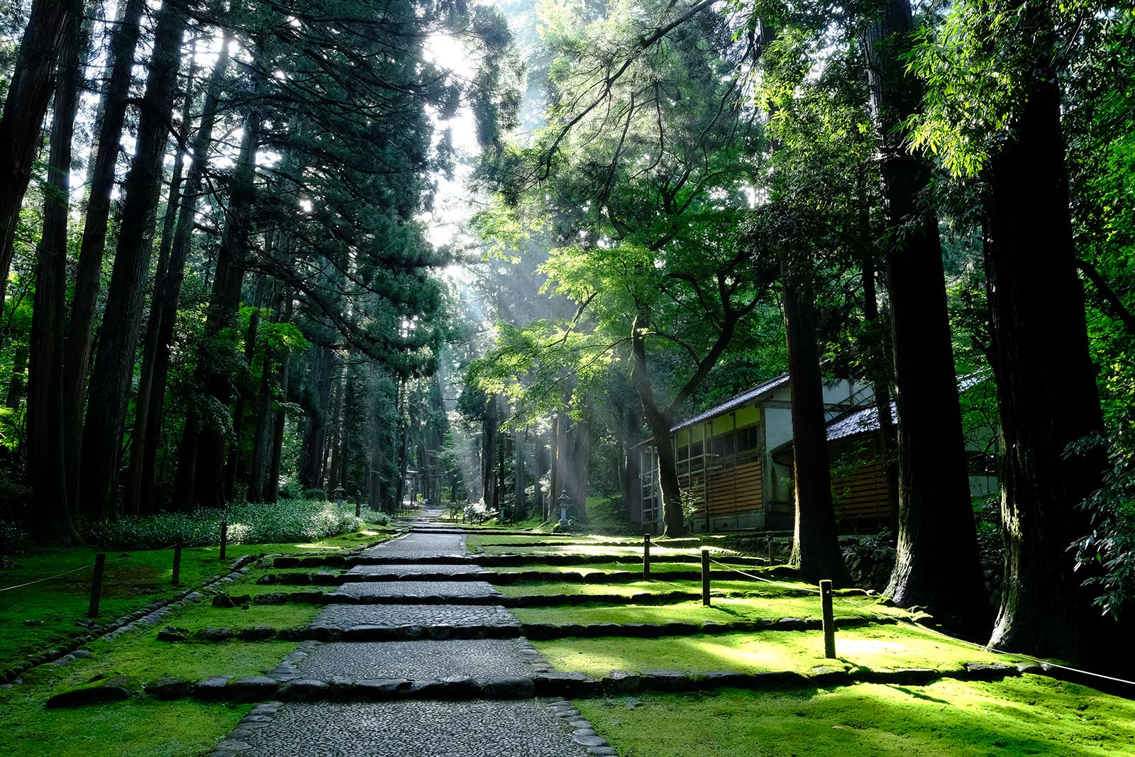 真夏の勝山市平泉寺で感じる木陰の心地よさ